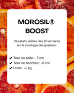 Morosil Boost Ekiboost - Ingredients et composition du complement minceur
